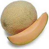 Cantaloup