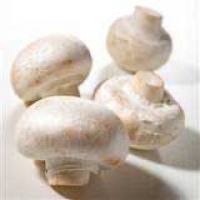 Champignon de Paris