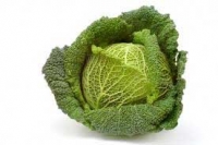 Chou-vert
