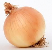 Oignons