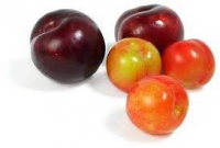 Prunes
