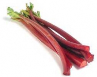 Rhubarbe