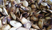 Graines de citrouille grillées